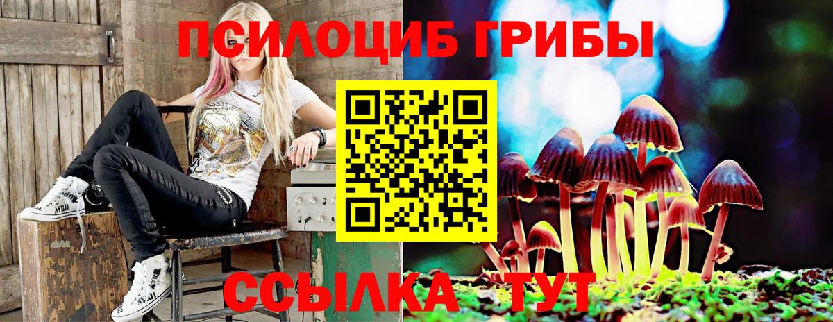 Ивантеевка  Галлюциногенные грибы Magic Shrooms  Вход с VPN  Галлюциногенные грибы Cubensis 